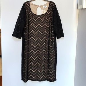 Black Lace Shift Dress 3/4 Sleeve